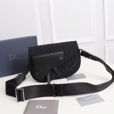 Christian Dior Waist Chest Packs